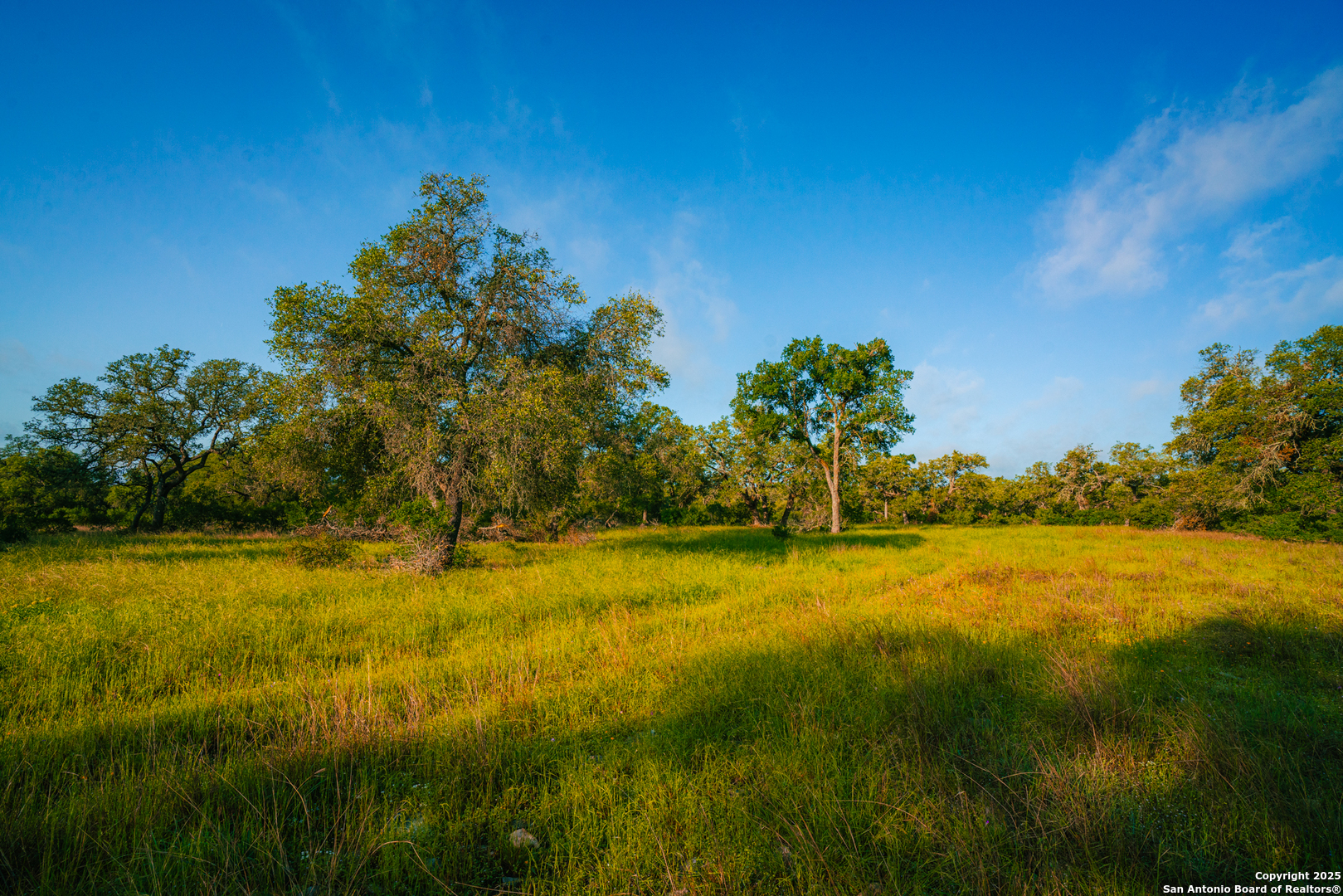 0 Lone Oak Hollow Spring Branch, TX 78070 - Photo 2 of 10