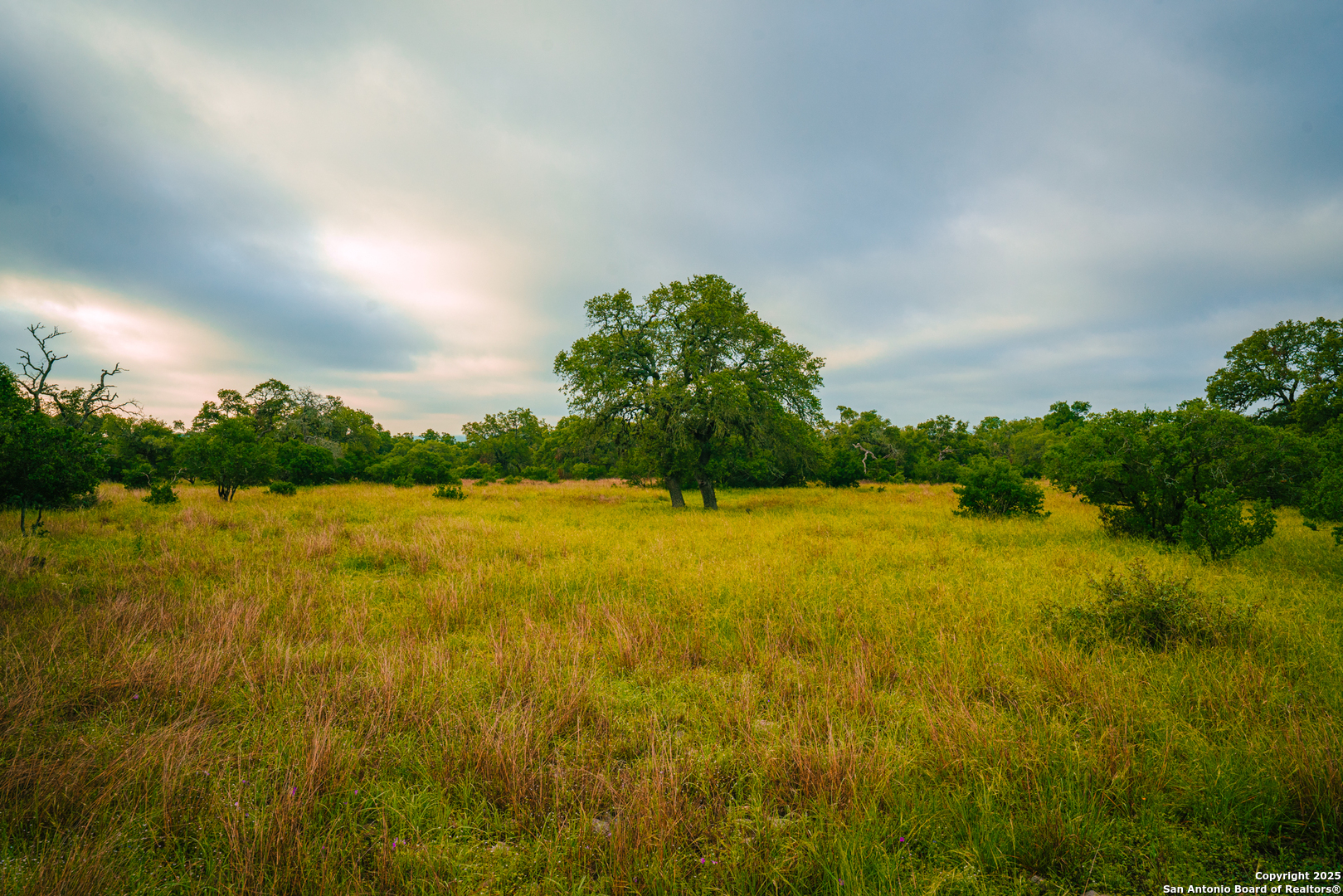 0 Lone Oak Hollow Spring Branch, TX 78070 - Photo 4 of 10