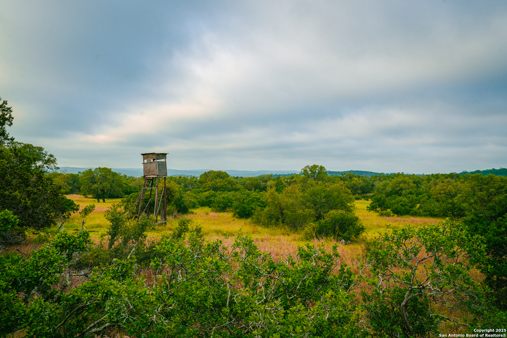 0 Lone Oak Hollow Spring Branch, TX 78070 - Photo 6 of 10