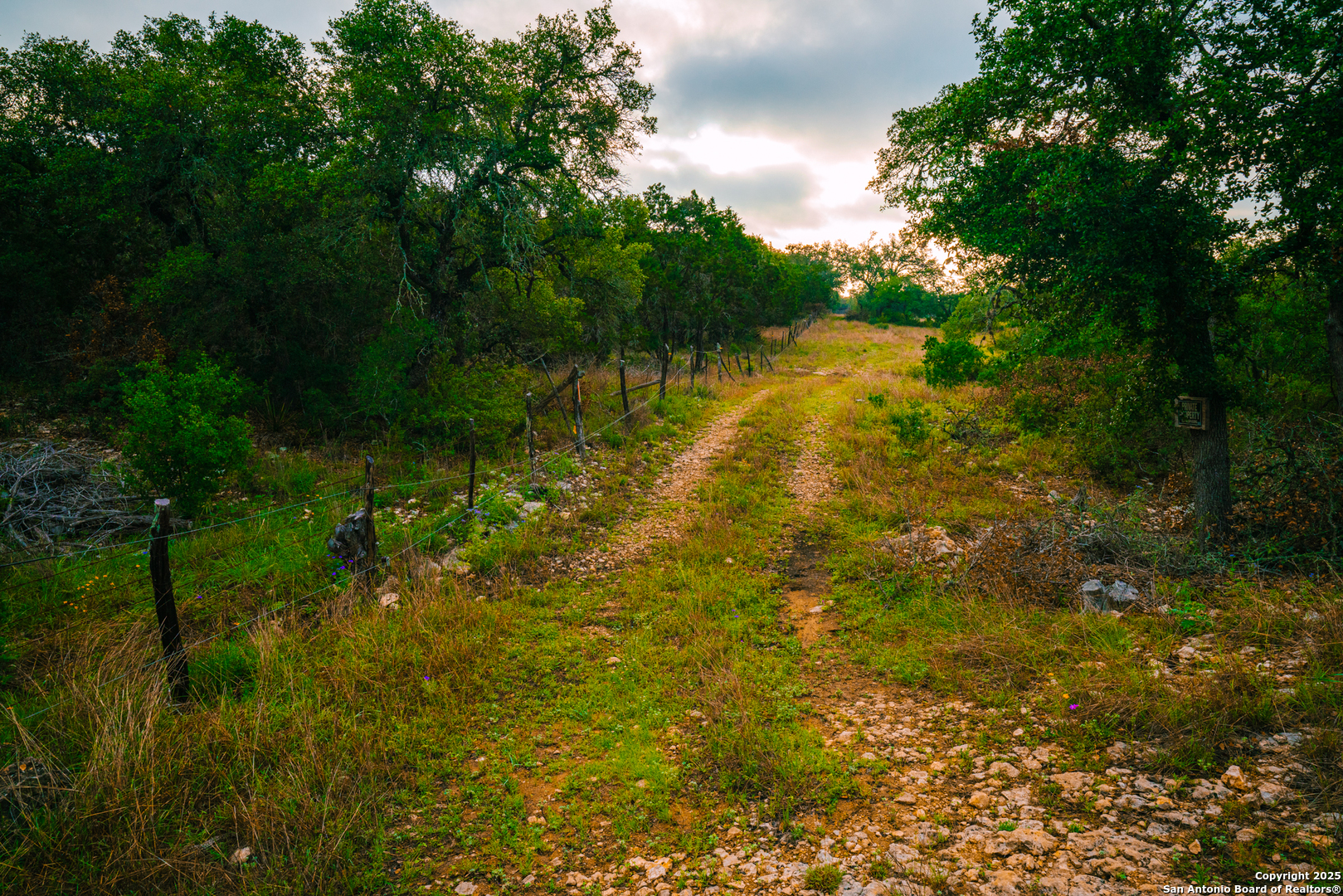 0 Lone Oak Hollow Spring Branch, TX 78070 - Photo 8 of 10