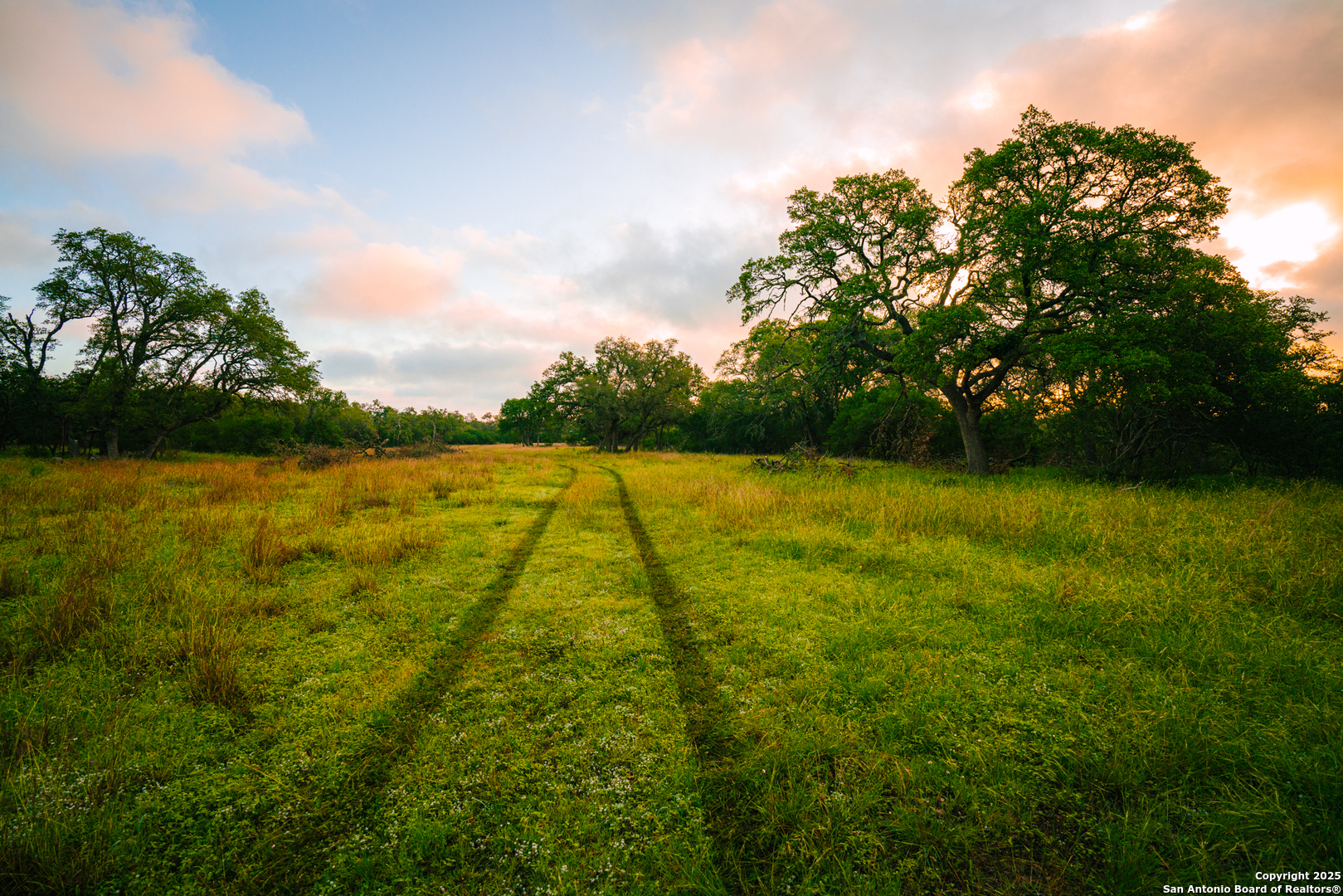 0 Lone Oak Hollow Spring Branch, TX 78070 - Photo 9 of 10