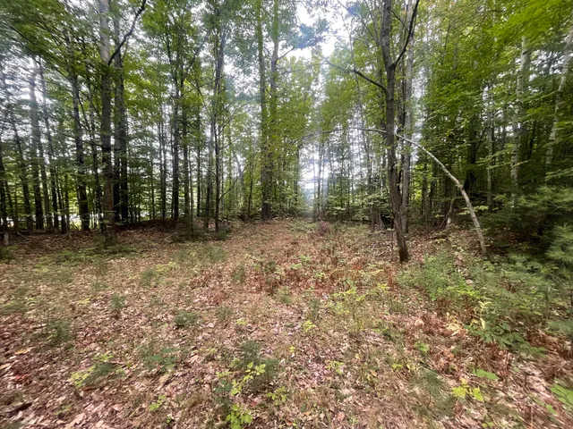 $49,000 | 94 New Vineyard Road, Farmington, ME 04938