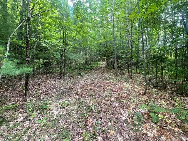 $49,000 | 94 New Vineyard Road, Farmington, ME 04938