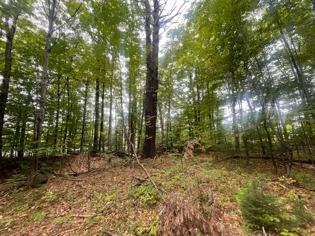 $49,000 | 94 New Vineyard Road, Farmington, ME 04938