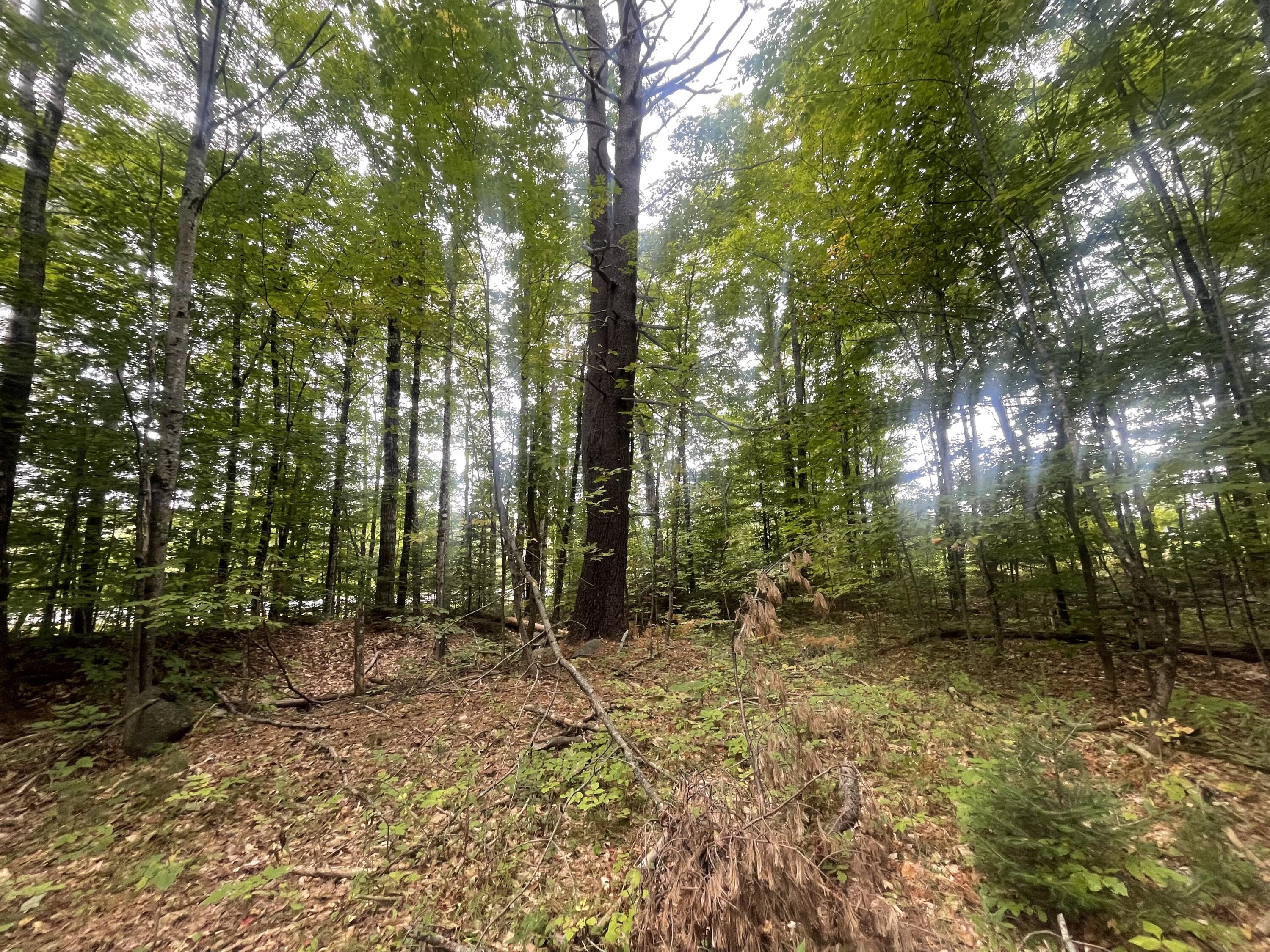 94 New Vineyard Road Farmington, ME 04938 - Photo 2 of 12 IMG_7942