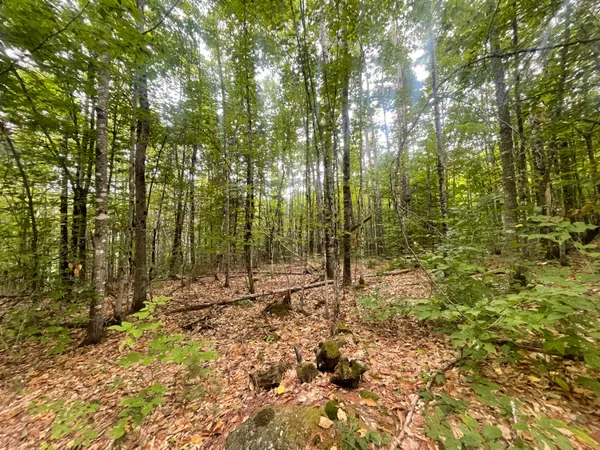 $45,000 | R6-l38b New Vineyard Road, New Vineyard, ME 04956