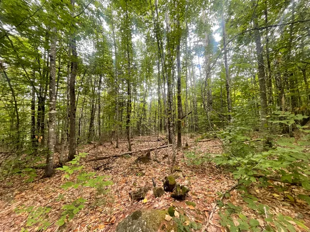 $49,000 | 94 New Vineyard Road, Farmington, ME 04938