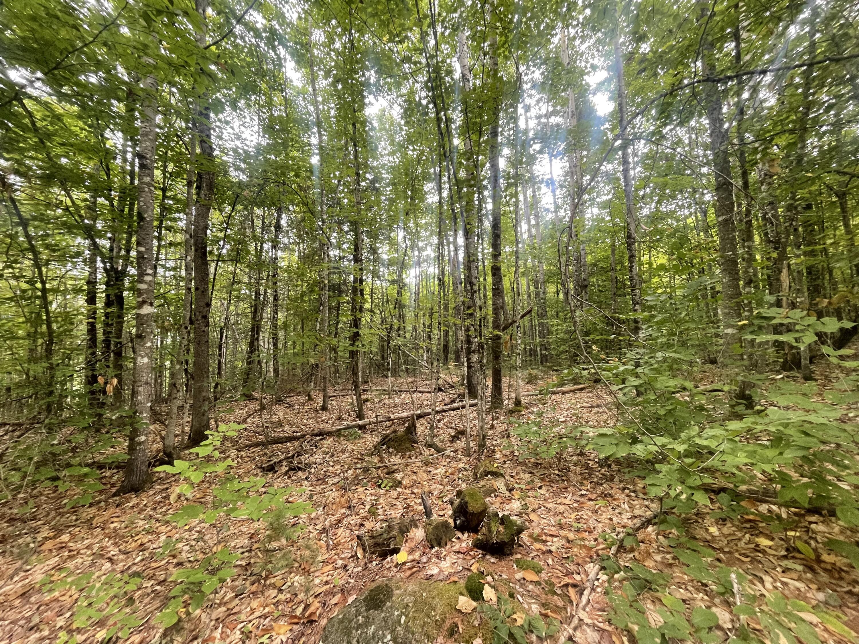 94 New Vineyard Road Farmington, ME 04938 - Photo 3 of 12 IMG_7936