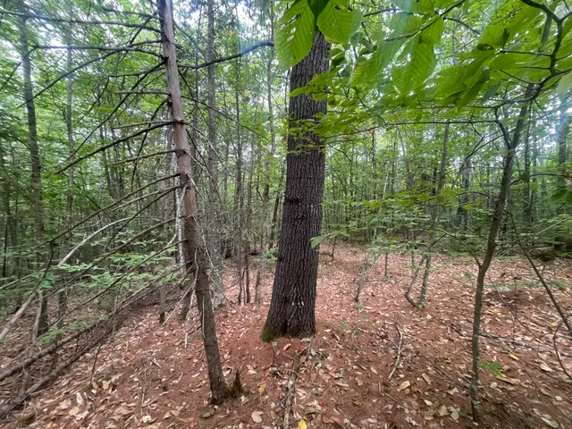 $49,000 | 94 New Vineyard Road, Farmington, ME 04938