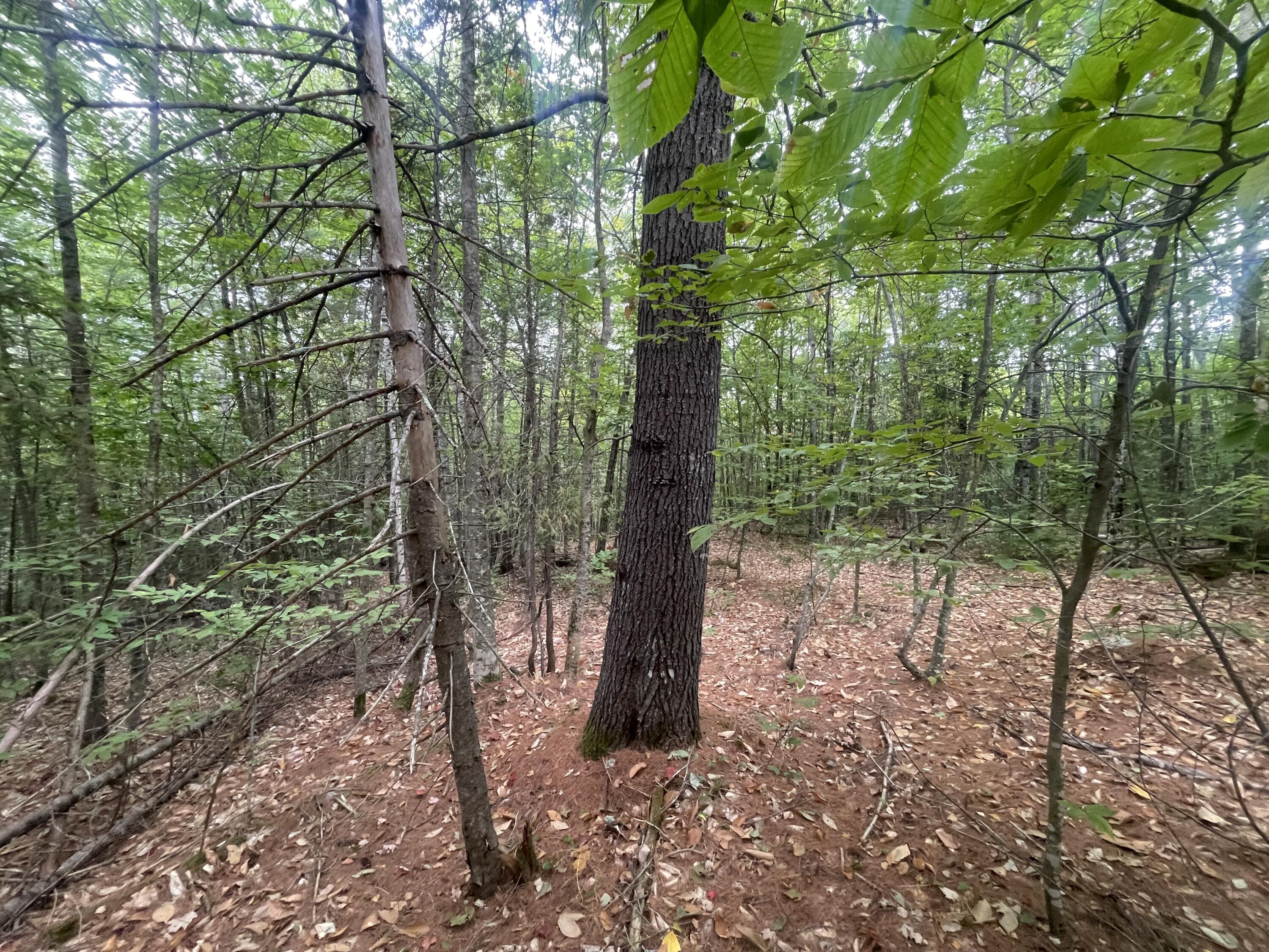 94 New Vineyard Road Farmington, ME 04938 - Photo 4 of 12 IMG_7935(1)