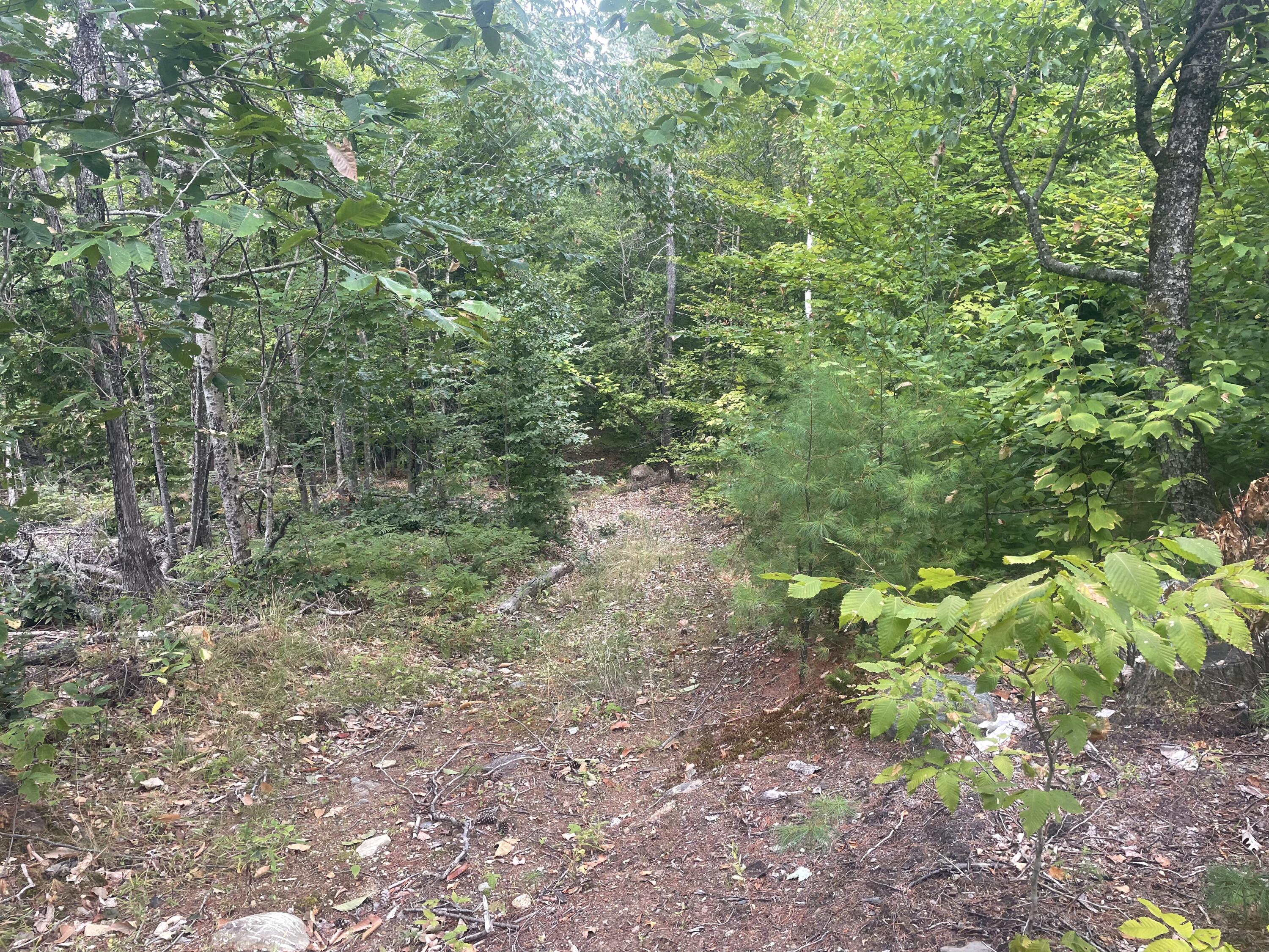 94 New Vineyard Road Farmington, ME 04938 - Photo 5 of 12 IMG_7934