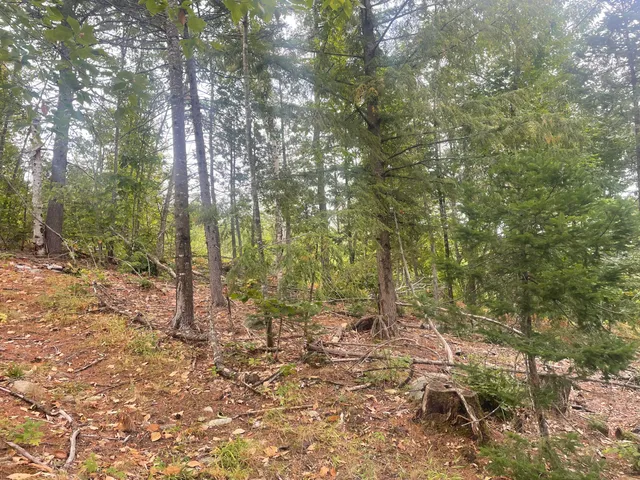 $49,000 | 94 New Vineyard Road, Farmington, ME 04938