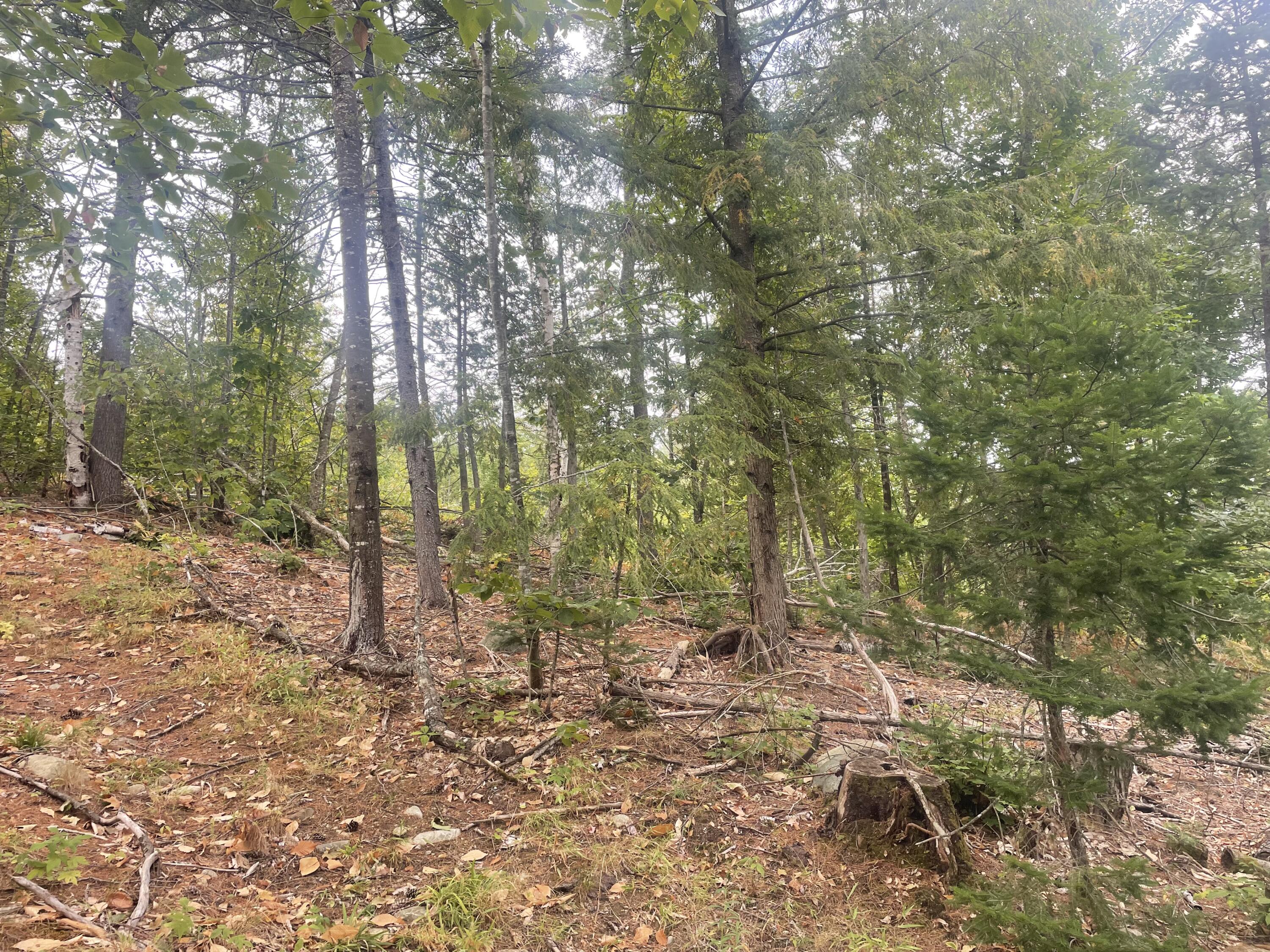 94 New Vineyard Road Farmington, ME 04938 - Photo 6 of 12 IMG_7933(1)