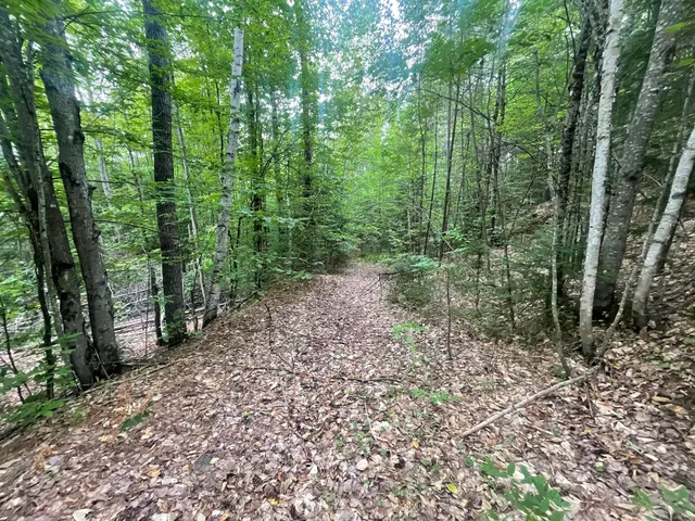 $49,000 | 94 New Vineyard Road, Farmington, ME 04938