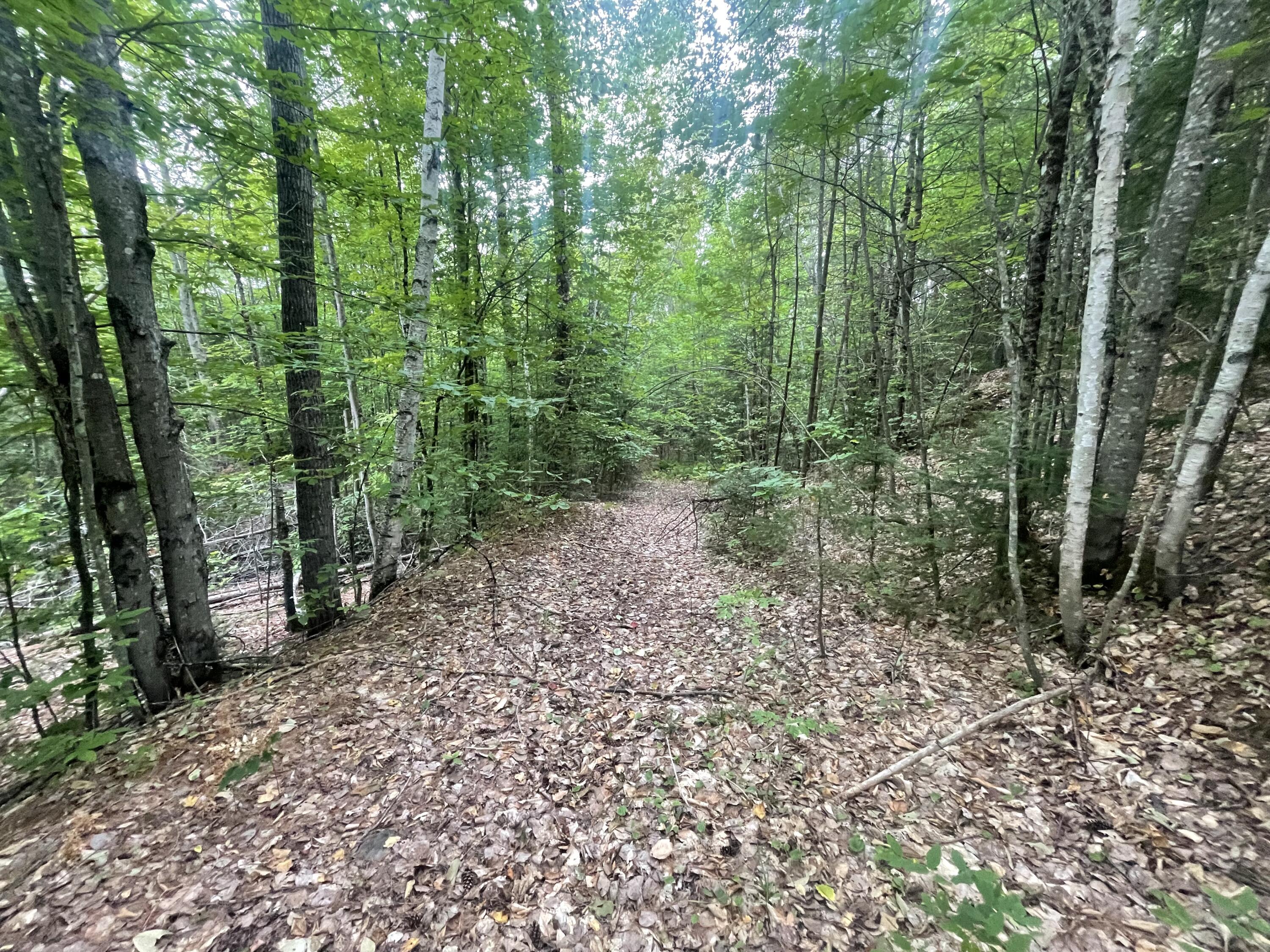 94 New Vineyard Road Farmington, ME 04938 - Photo 7 of 12 IMG_7939