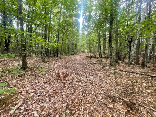 $49,000 | 94 New Vineyard Road, Farmington, ME 04938