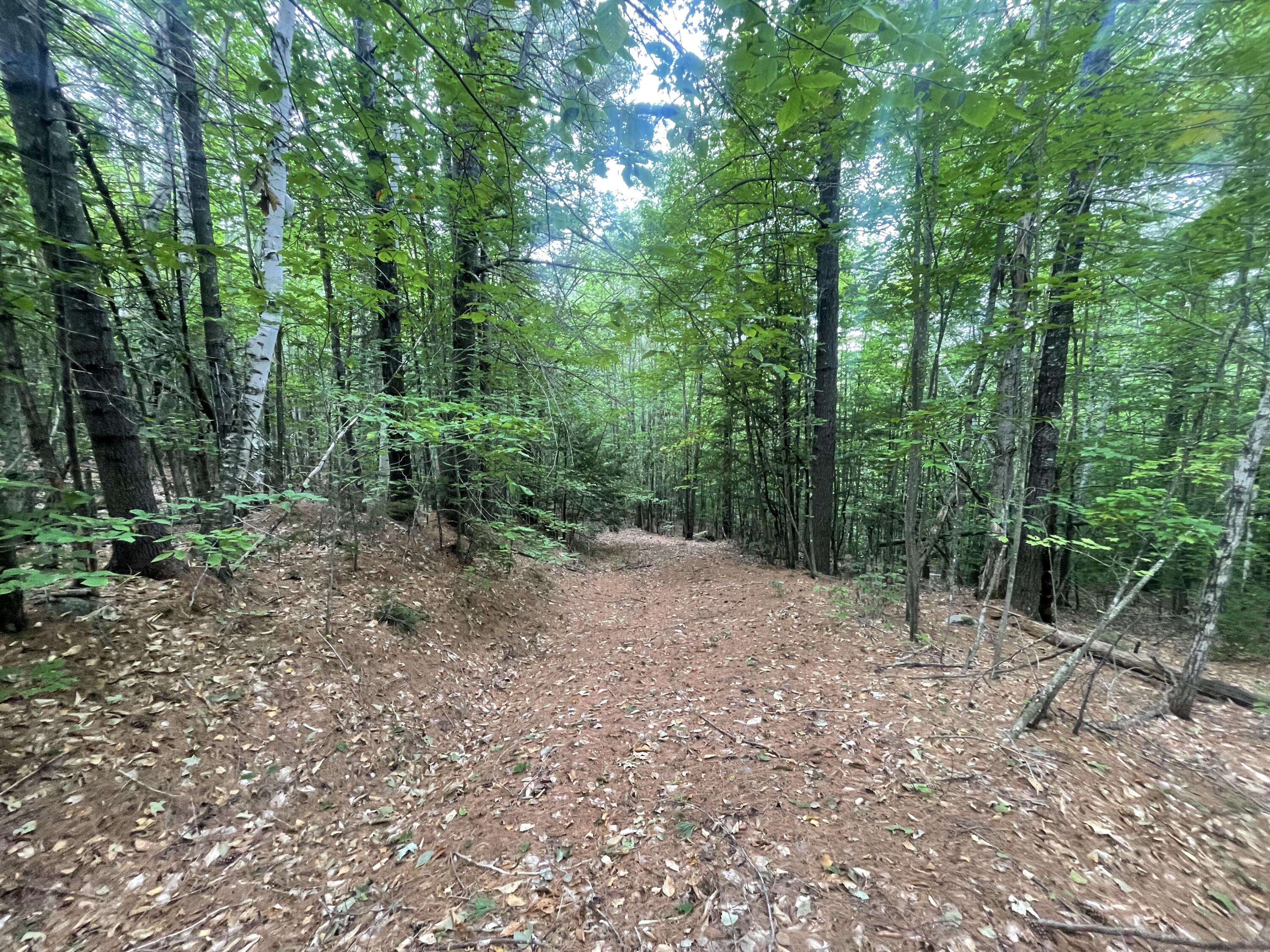 94 New Vineyard Road Farmington, ME 04938 - Photo 9 of 12 IMG_7937