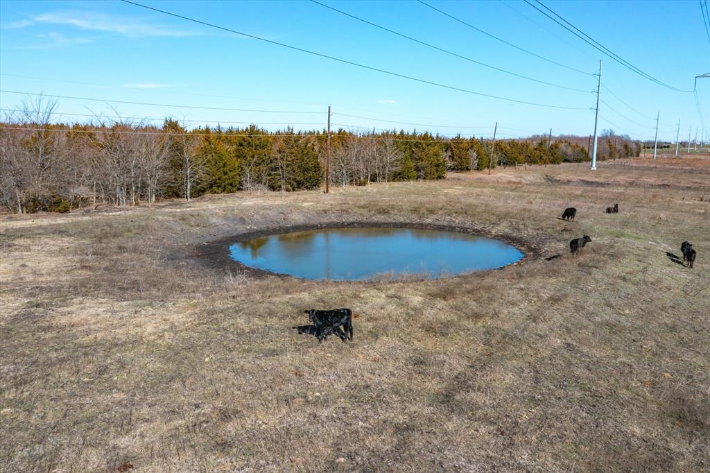 3273 Rochell Road Rockwall, TX 75032 - Photo 20 of 24 a view of a backyard