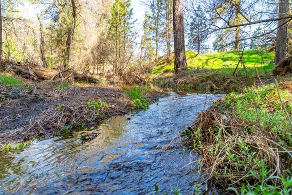 a sign that is sitting in the middle of backyard