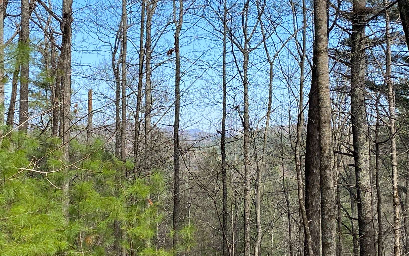 38 Ridge View Way Suches, GA 30572 - Photo 1 of 21 Main View