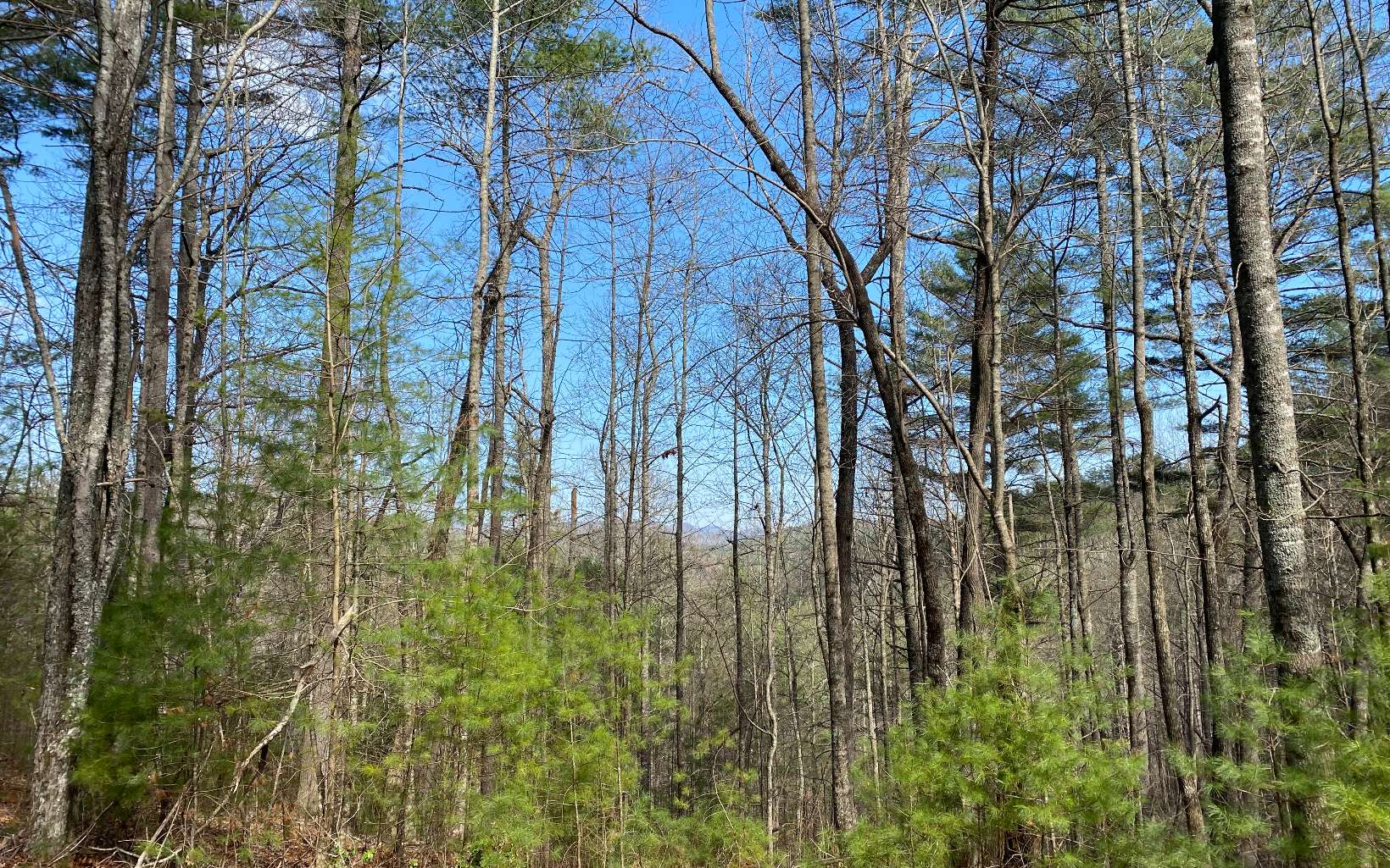 38 Ridge View Way Suches, GA 30572 - Photo 7 of 21 Additional View