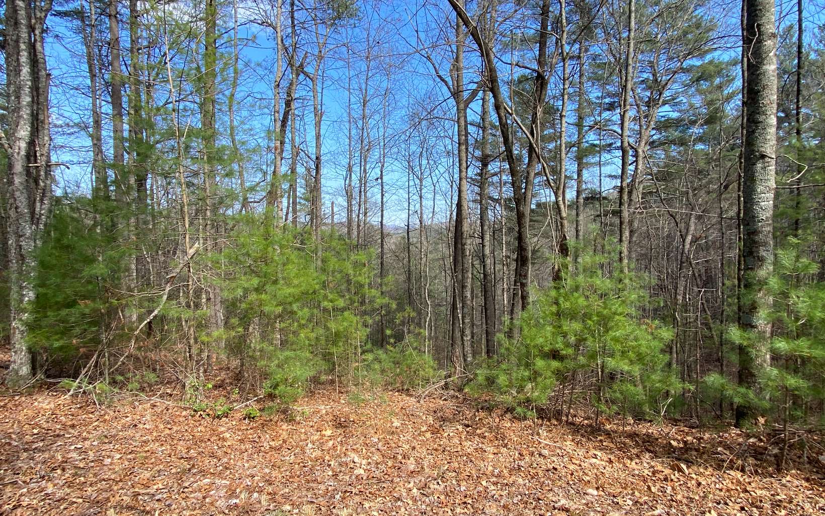 38 Ridge View Way Suches, GA 30572 - Photo 9 of 21 Additional View