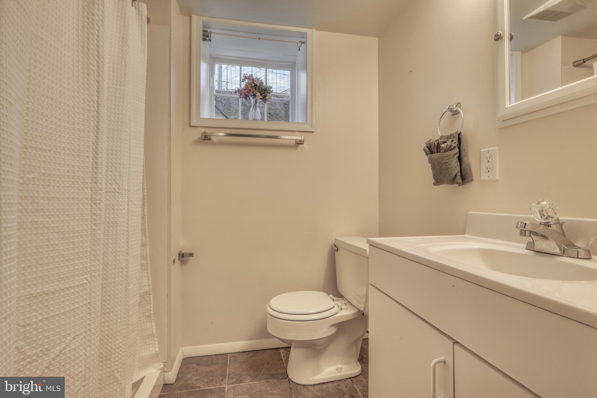 217 Dumbarton Road Baltimore, MD 21212 - Photo 24 of 33 Another view- LL Ba