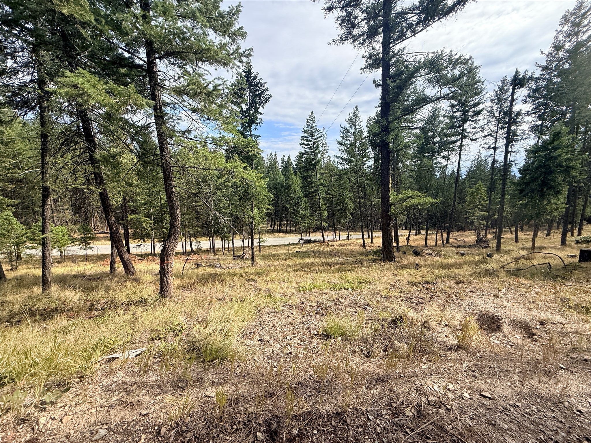 173 Cedar Creek Road Plains, MT 59859 - Photo 10 of 13 Gallery Image 10