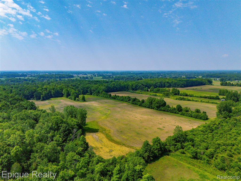 0 Jeddo Road Yale, MI 48097 - Photo 5 of 21