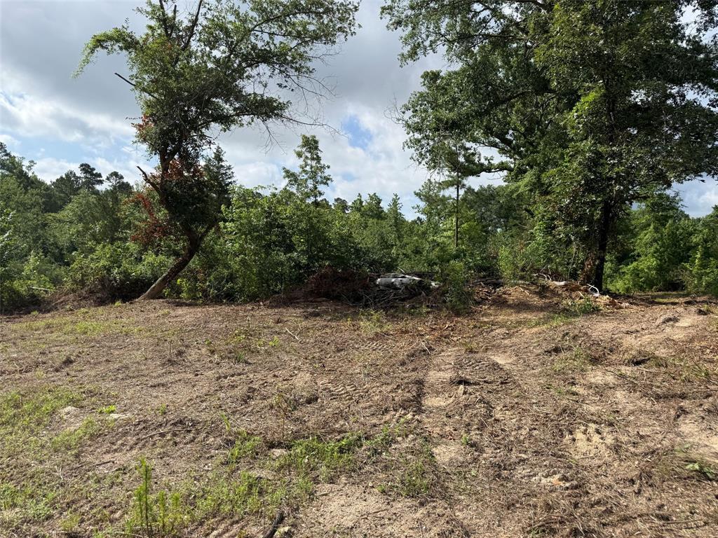 385 County Road 385 Tyler, TX 75708 - Photo 23 of 28