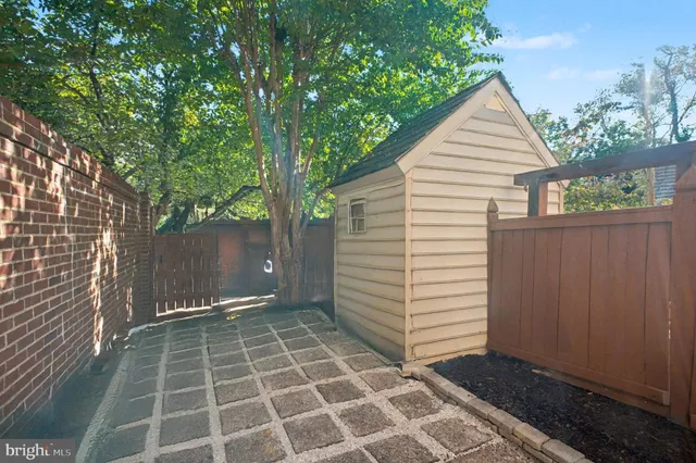 a view of a tree in the middle of a yard