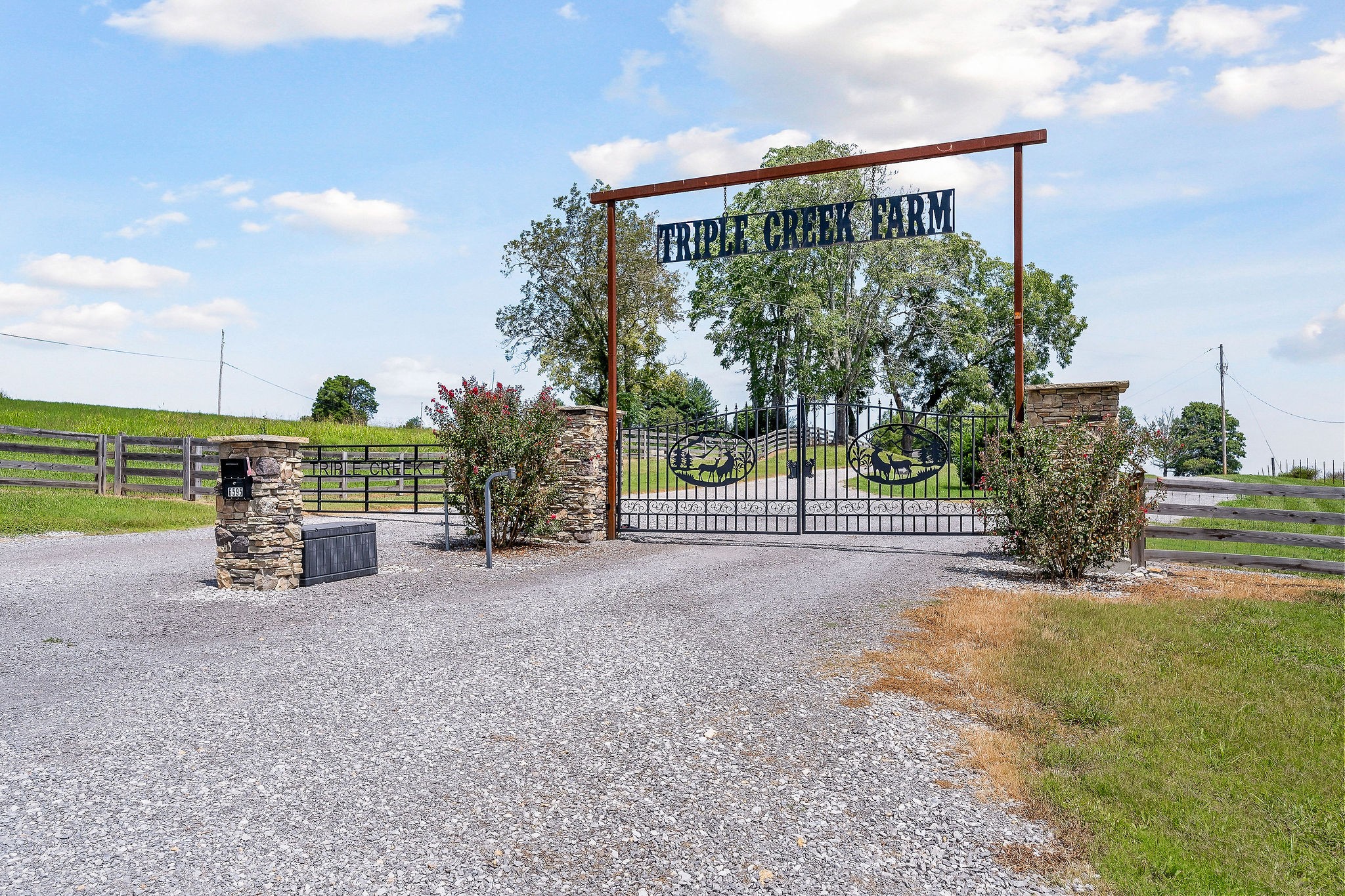 6595 Antioch Road Smithville, TN 37166 - Photo 9 of 54 Gallery Image 9