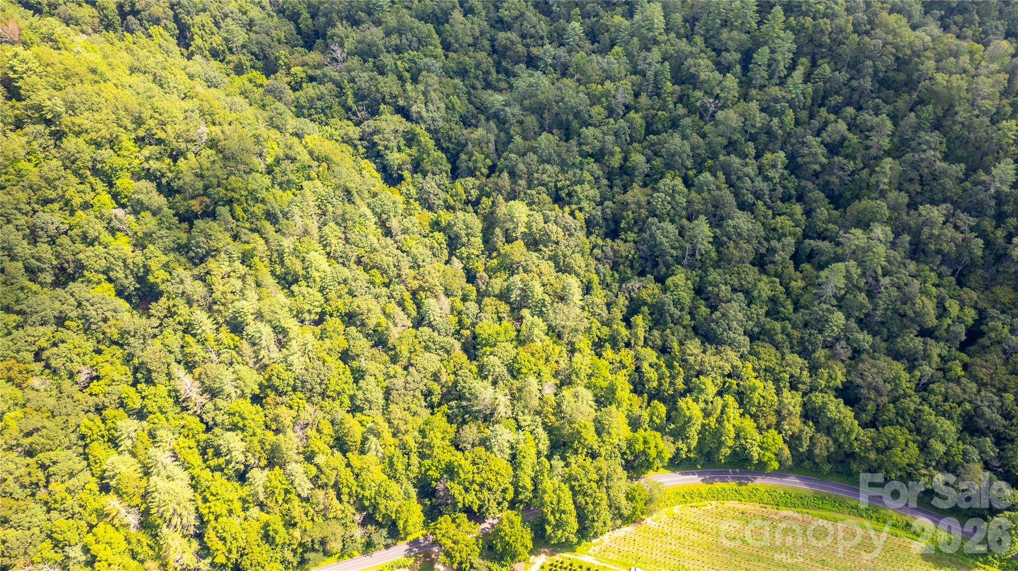 Tbd Tbd Collettsville Road, Unit 1 2 5 Lenoir, NC 28645 - Photo 10 of 17