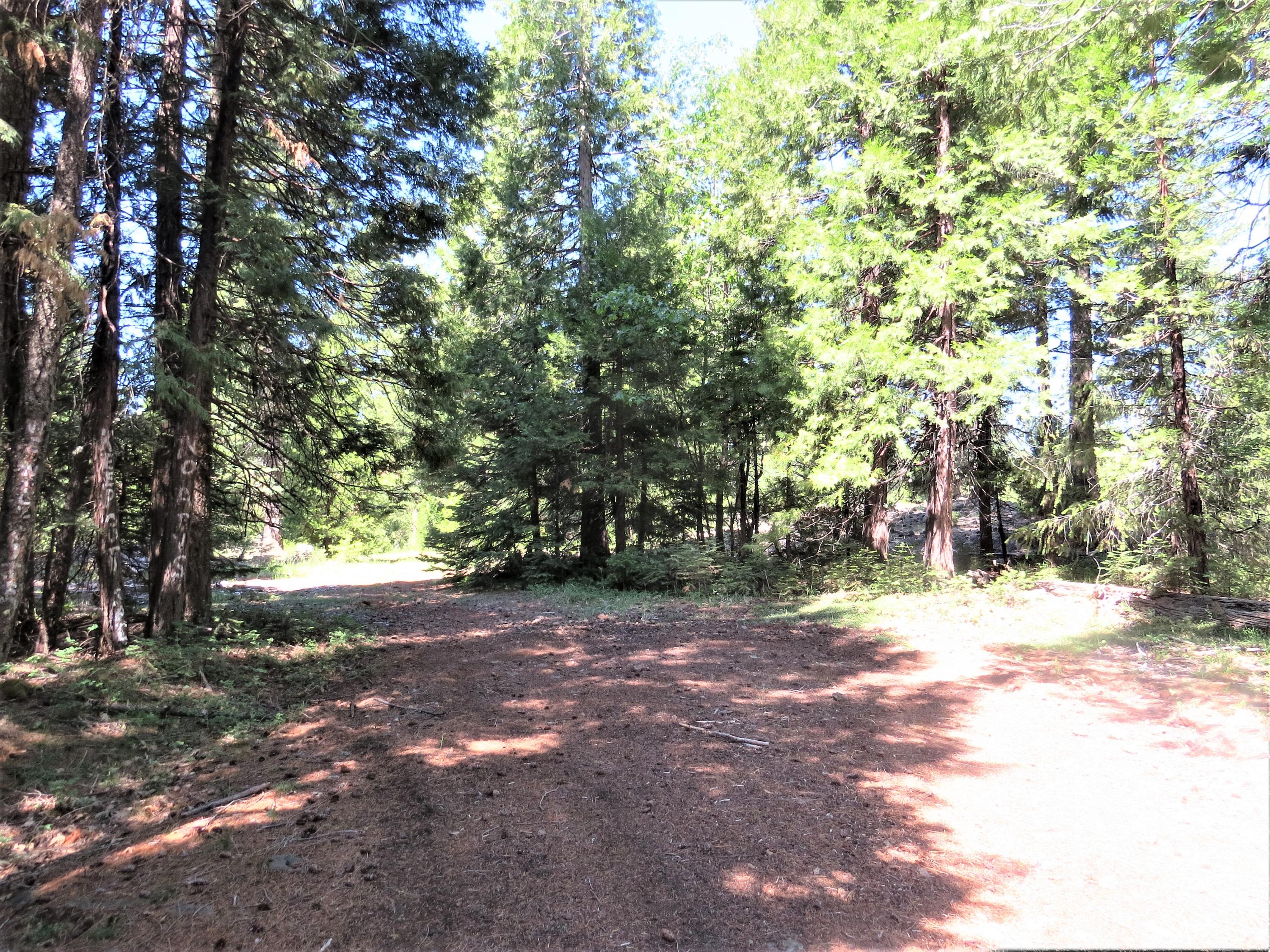 8 Trail Blazer Road Shingletown, CA 96088 - Photo 2 of 10 IMG_4706