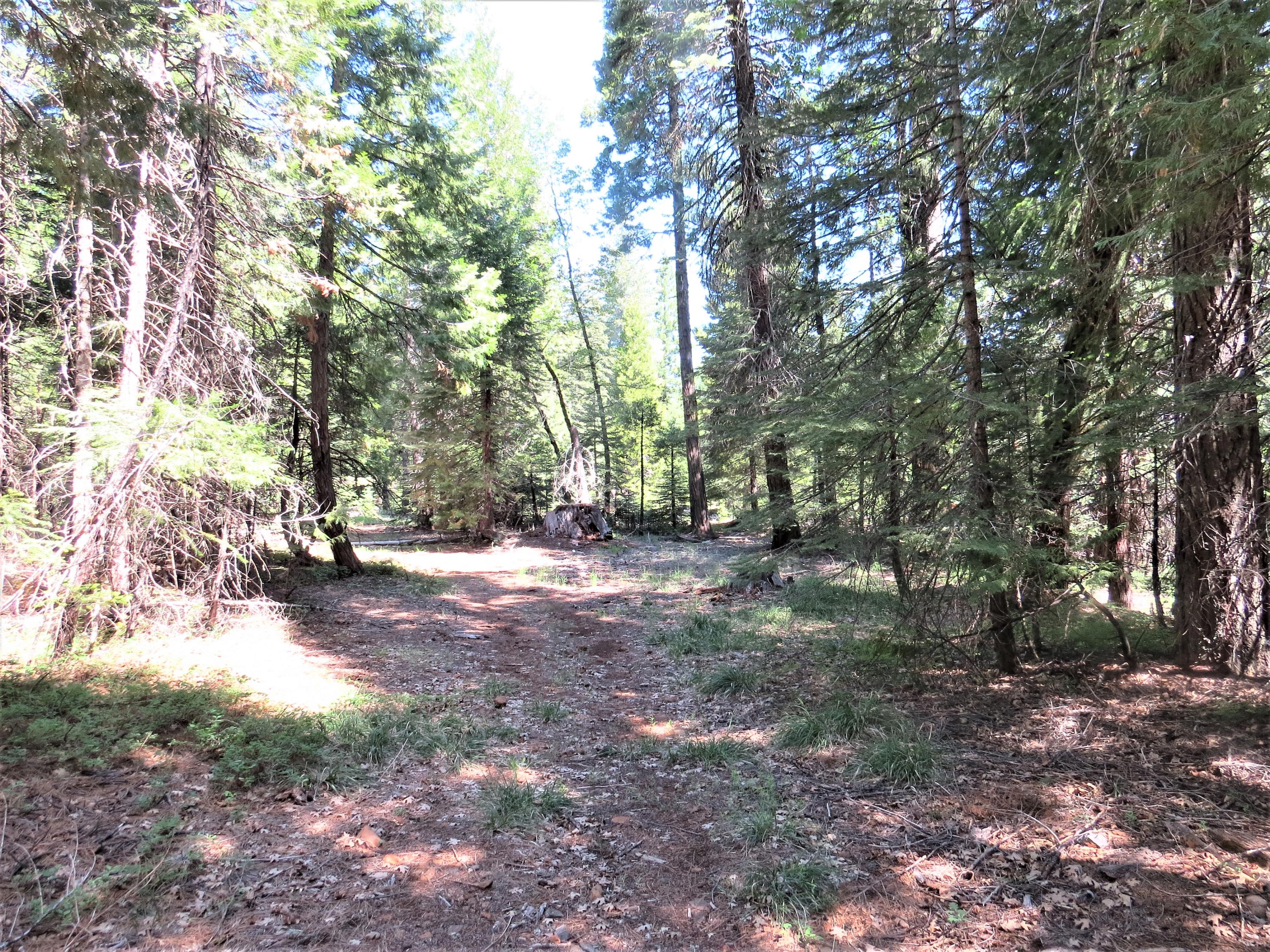 8 Trail Blazer Road Shingletown, CA 96088 - Photo 8 of 10 IMG_4713