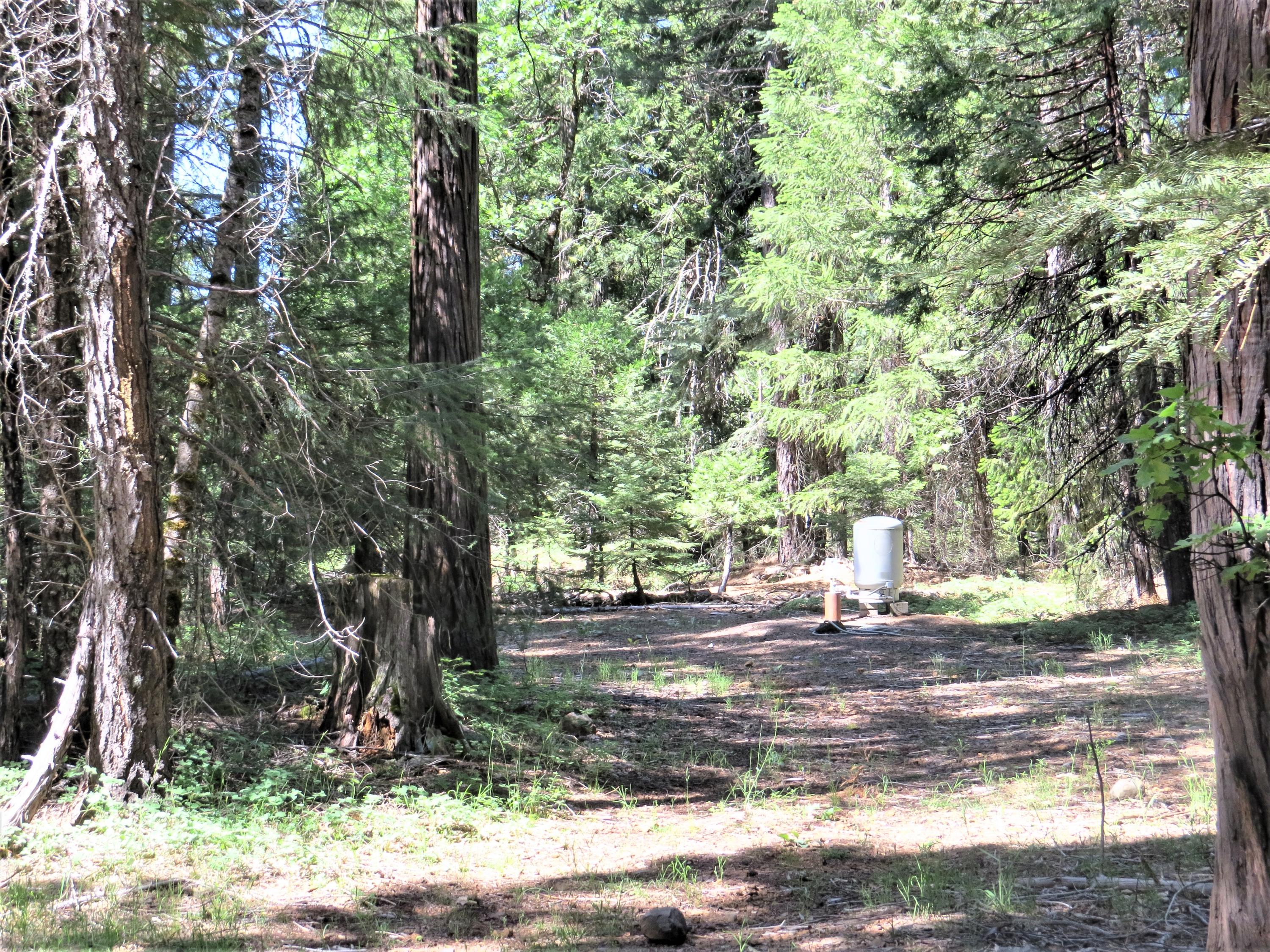 8 Trail Blazer Road Shingletown, CA 96088 - Photo 10 of 10 IMG_4715