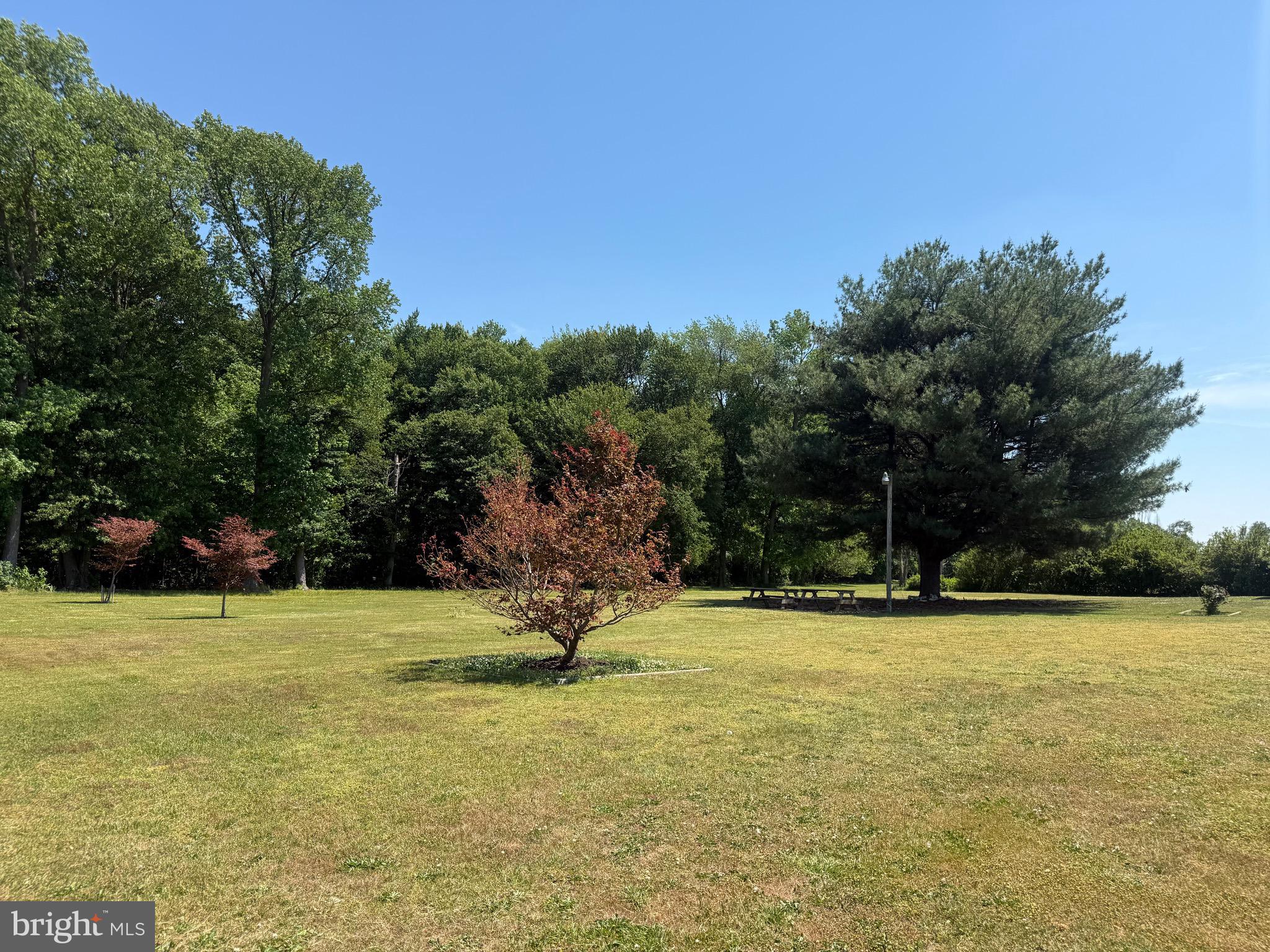 1420 Barclay Road Barclay, MD 21607 - Photo 16 of 20