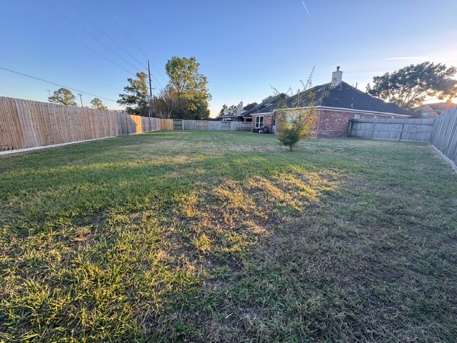 9918 Mossy Tree Lane Houston, TX 77064 - Photo 14 of 15 a view of a large garden with plants and large trees
