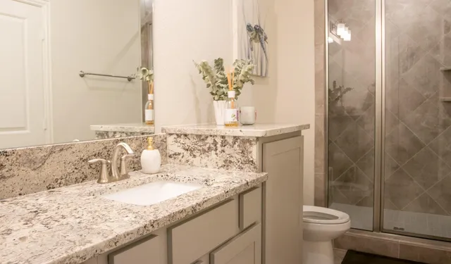 a bathroom with a granite countertop sink a toilet and shower