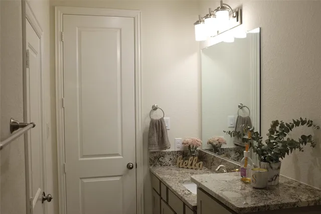a view of bathroom with a potted plant on the counter and sink