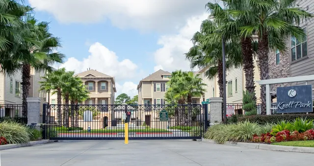 a view of street with potted plants and palm trees