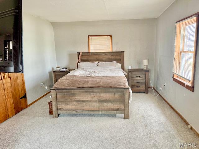 203 South Madison Street Perry, MO 63462 - Photo 31 of 43