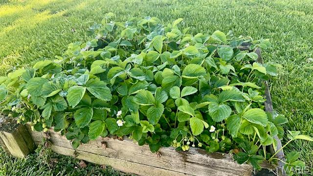 203 South Madison Street Perry, MO 63462 - Photo 43 of 43