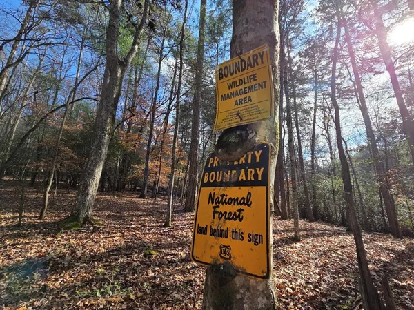 $59,900 | Lot 10 Wildcat Creek, Suches, GA 30572