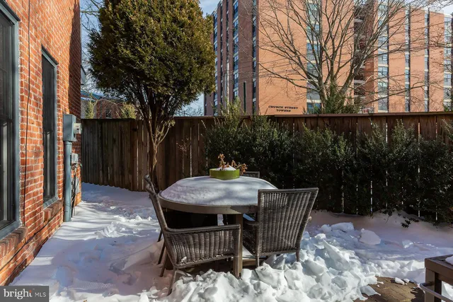 a backyard of a tree