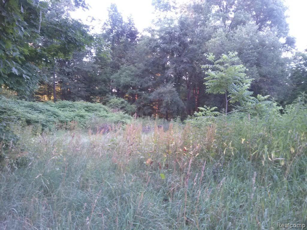 822 West Barnes Road Fostoria, MI 48435 - Photo 3 of 13 IMG_20150713_204402.jpg