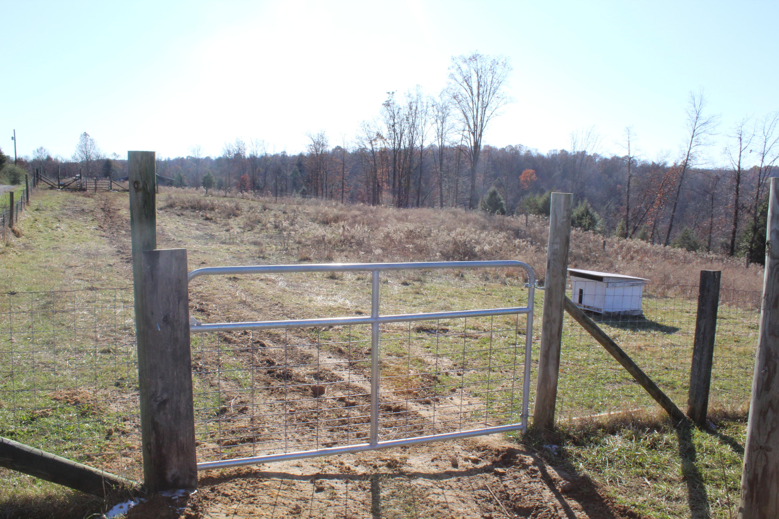 55 Everett Road Pikeville, TN 37367 - Photo 14 of 46 IMG_1926