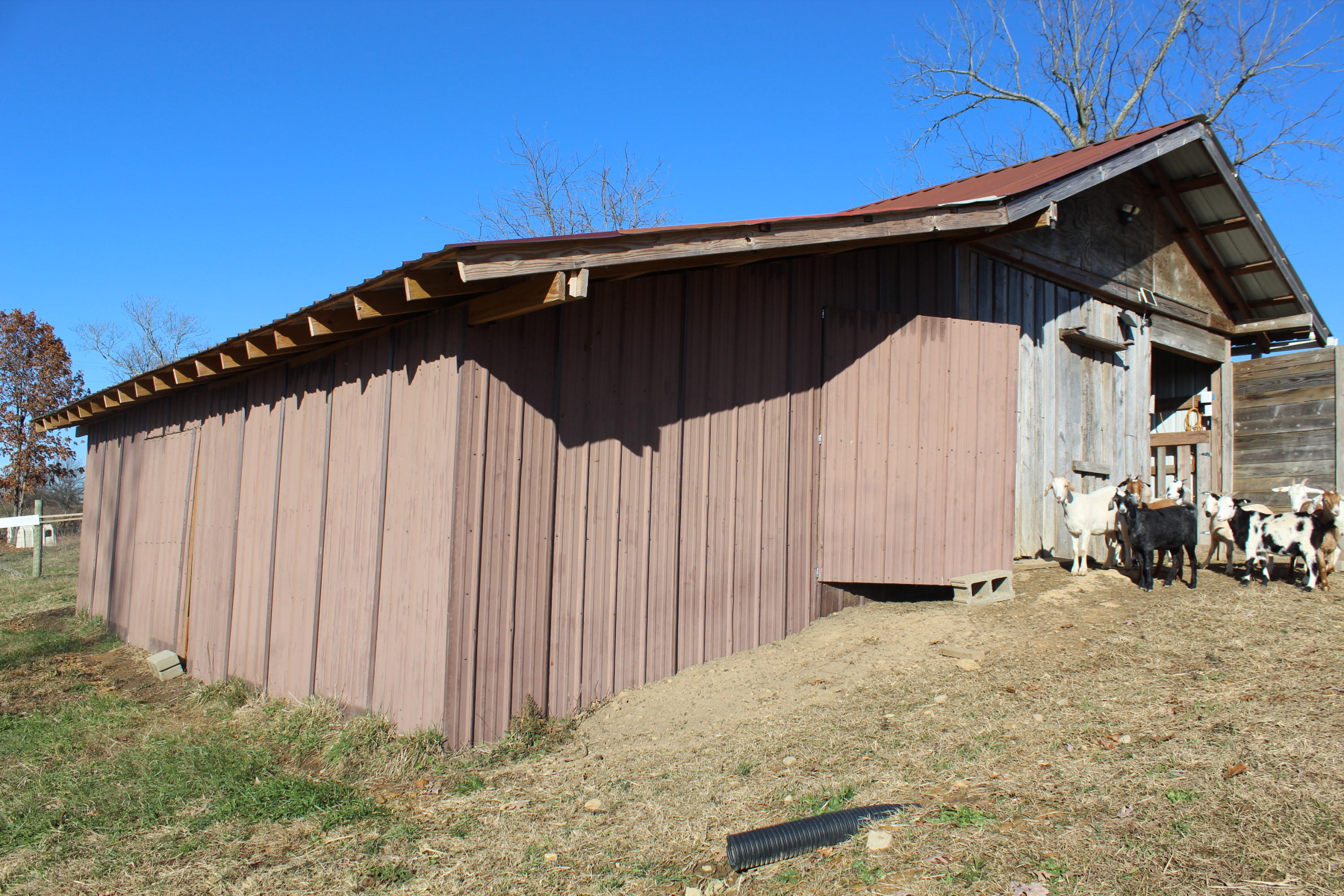 55 Everett Road Pikeville, TN 37367 - Photo 10 of 46 IMG_1914