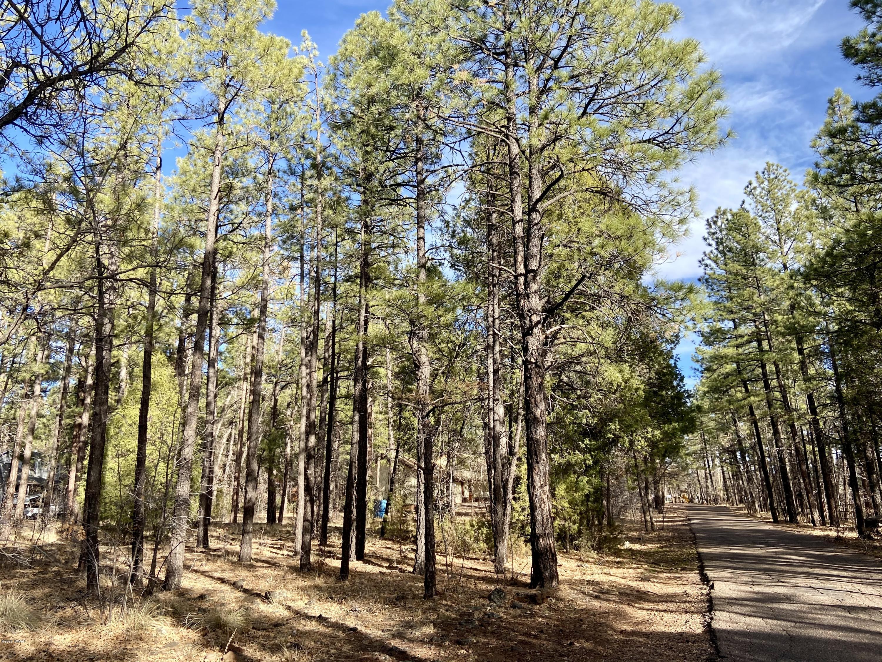 Tbd West Tbd W Woodland Lake Road Pinetop, AZ 85935 - Photo 1 of 13