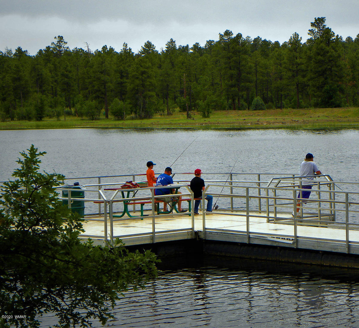 Tbd West Tbd W Woodland Lake Road Pinetop, AZ 85935 - Photo 11 of 13